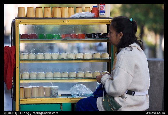 Woman selling dairy desserts on the street. Guadalajara, Jalisco, Mexico (color)