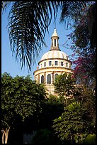 Cathedral dome seen from the park, Tlaquepaque. Jalisco, Mexico