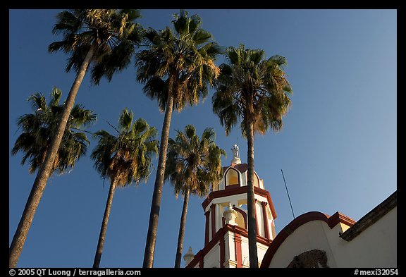 Church and palm trees, Tlaquepaque. Jalisco, Mexico (color)