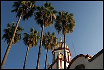 Church and palm trees, Tlaquepaque. Jalisco, Mexico