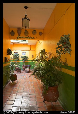 Entrance patio of La Posada bed and breakfast, Tlaquepaque. Jalisco, Mexico (color)