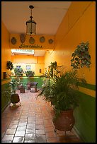 Entrance patio of La Posada bed and breakfast, Tlaquepaque. Jalisco, Mexico