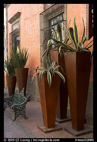 Pots with agaves for sale outside a gallery, Tlaquepaque. Jalisco, Mexico (color)