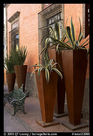 Pots with agaves for sale outside a gallery, Tlaquepaque. Jalisco, Mexico