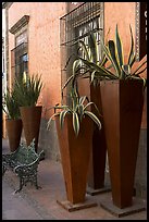 Pots with agaves for sale outside a gallery, Tlaquepaque. Jalisco, Mexico