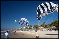 Parasails inflated on beach, Nuevo Vallarta, Nayarit. Jalisco, Mexico ( color)