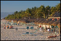 Beach front with sun shades and palm trees, Nuevo Vallarta, Nayarit. Jalisco, Mexico (color)