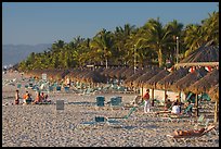 Beach front with sun shades and palm trees, Nuevo Vallarta, Nayarit. Jalisco, Mexico