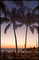 Outdoor restaurant with palm trees at sunset, Nuevo Vallarta, Nayarit. Jalisco, Mexico ( color)