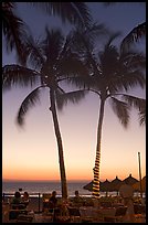 Outdoor restaurant with palm trees at sunset, Nuevo Vallarta, Nayarit. Jalisco, Mexico