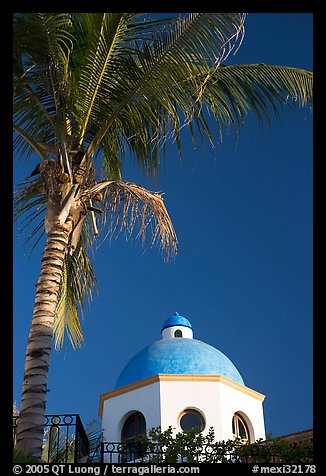 Palm tree and  blue dome, Puerto Vallarta, Jalisco. Jalisco, Mexico