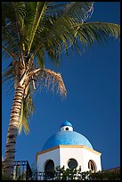 Palm tree and  blue dome, Puerto Vallarta, Jalisco. Jalisco, Mexico