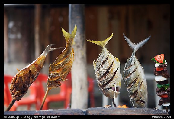 Fish being grilled,  Boca de Tomatlan, Jalisco. Jalisco, Mexico (color)