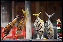 Fish being grilled,  Boca de Tomatlan, Jalisco. Jalisco, Mexico ( color)