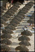 Sun shades lined on a beach resort, Puerto Vallarta, Jalisco. Jalisco, Mexico (color)