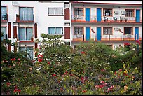 Appartment building above Rio Cuale, Puerto Vallarta, Jalisco. Jalisco, Mexico ( color)