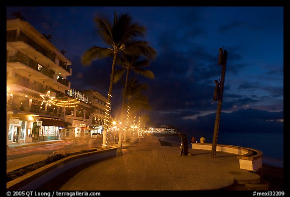 Palm trees and sculpture on Malecon at night, Puerto Vallarta, Jalisco. Jalisco, Mexico