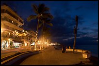 Palm trees and sculpture on Malecon at night, Puerto Vallarta, Jalisco. Jalisco, Mexico