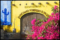 Tequila distillery, Puerto Vallarta, Jalisco. Jalisco, Mexico (color)