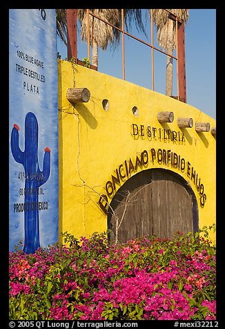 Tequila distillery, Puerto Vallarta, Jalisco. Jalisco, Mexico