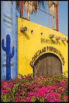 Tequila distillery, Puerto Vallarta, Jalisco. Jalisco, Mexico ( color)