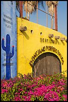 Tequila distillery, Puerto Vallarta, Jalisco. Jalisco, Mexico