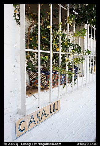 Window of home with plant and ceramic name plate, Puerto Vallarta, Jalisco. Jalisco, Mexico