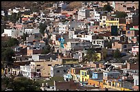 Neighborhood vith colorful houses seen from above. Zacatecas, Mexico ( color)