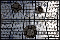 Glass roof of Gonzalez Ortega Market. Zacatecas, Mexico (color)