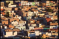 Houses on hill, late afternoon. Zacatecas, Mexico (color)