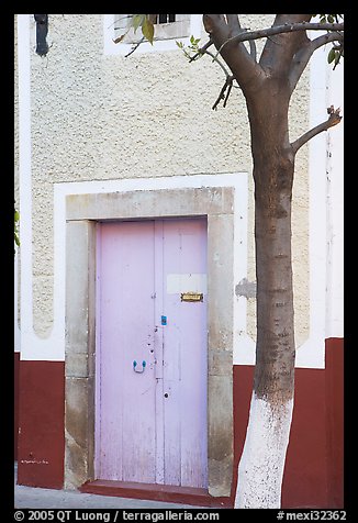 Door and tree. Guanajuato, Mexico