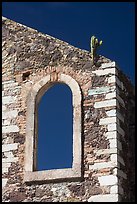 Corner of a ruined house with cactus growing out. Guanajuato, Mexico (color)