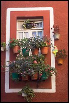 Window decorated with many potted flowers. Guanajuato, Mexico