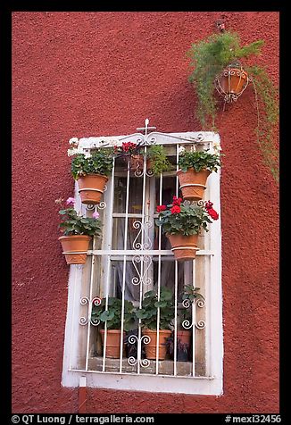 Window decorated with many potted plants. Guanajuato, Mexico (color)