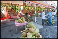 Roadside fruit stand. Mexico