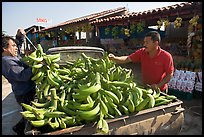Man unloading bananas from the back of a truck. Mexico (color)