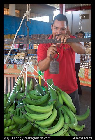 Man weighting bananas. Mexico (color)