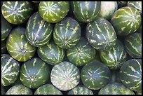 Watermelons. Mexico