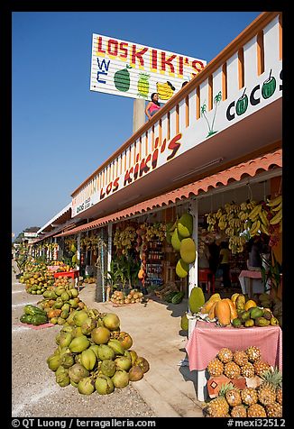 Row of tropical fruit stands. Mexico