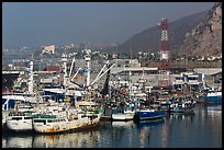 Fishing fleet, Ensenada. Baja California, Mexico ( color)
