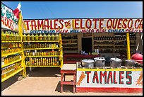 Roadside tamales stand. Baja California, Mexico (color)