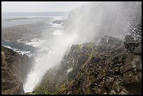 Jet of water blowing up 30 meters, La Bufadora. Baja California, Mexico ( color)