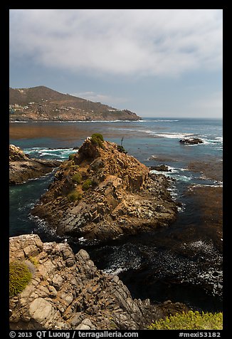 Bay, rocks, and kelp, La Bufadora. Baja California, Mexico (color)