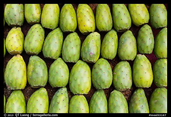 Cherimoya fruit. Baja California, Mexico