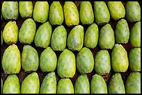 Cherimoya fruit. Baja California, Mexico (color)