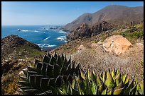 Mountainous Pacific coastline. Baja California, Mexico (color)