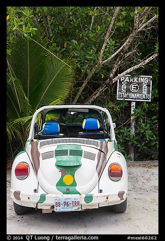Volkswagen beetle. Cozumel Island, Mexico (color)
