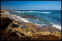 Rocky shoreline near Punta Sur. Cozumel Island, Mexico ( color)