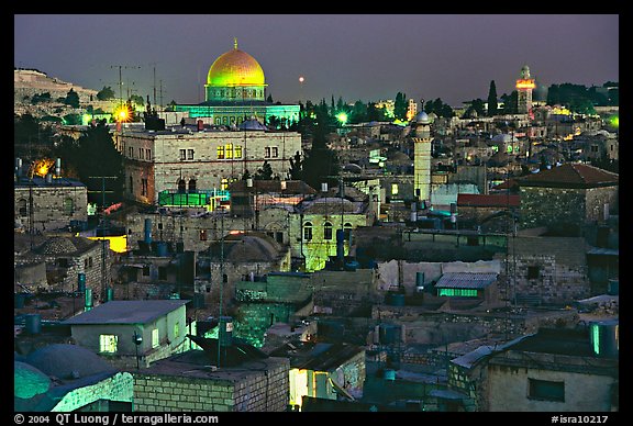 Old town roofs and Dome of the Rock by night. Jerusalem, Israel (color)
