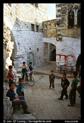 Group of children in old street, Hebron. West Bank, Occupied Territories (Israel)